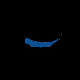 DAS
